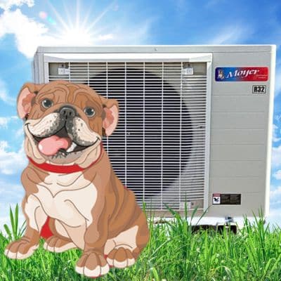 Moyer Dog With Hvac Unit