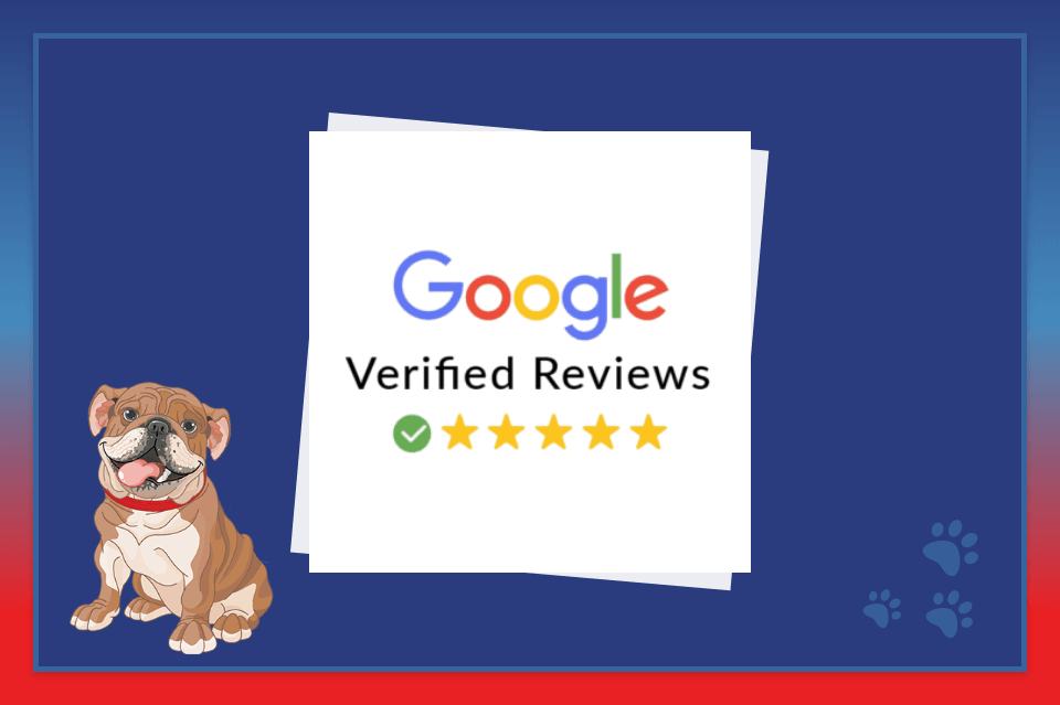 Google Verified Reviews